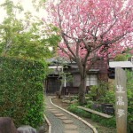 2012_042720124月0004