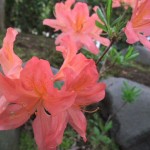 2012_042720124月0006