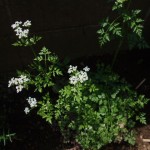 2012_051420124月0004